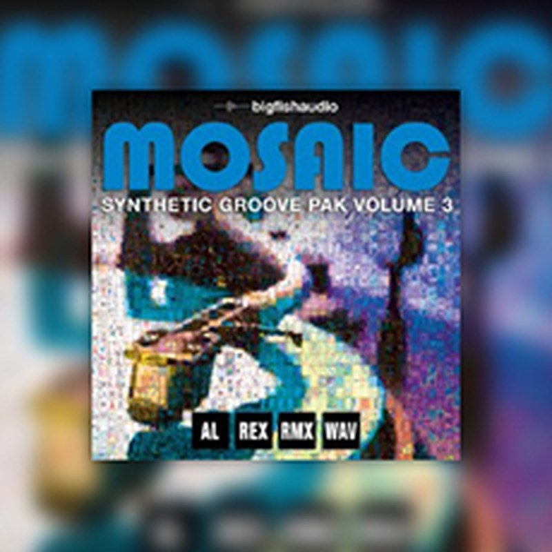 BIG FISH AUDIO MOSAIC: SYNTHETIC GROOVE PAK VOL.3(オンライン納品)(2時間以内に納品)
