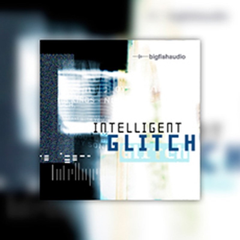 BIG FISH AUDIO INTELLIGENT GLITCH(オンライン納品)(2時間以内に納品)