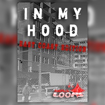 BIG FISH AUDIO IN MY HOOD: EAST COAST EDITION(オンライン納品)(2時間以内に納品)