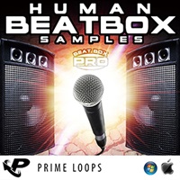 HUMAN BEATBOX SAMPLES(オンライン納品)(2時間以内に納品)