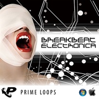 BREAKBEAT ELECTRONICA(オンライン納品)(2時間以内に納品)