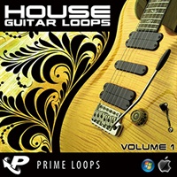 HOUSE GUITAR LOOPS 1(オンライン納品)(2時間以内に納品)