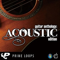 GUITAR ANTHOLOGY: ACOUSTIC EDITION(オンライン納品)(2時間以内に納品)