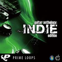 GUITAR ANTHOLOGY: INDIE EDITION(オンライン納品)(2時間以内に納品)