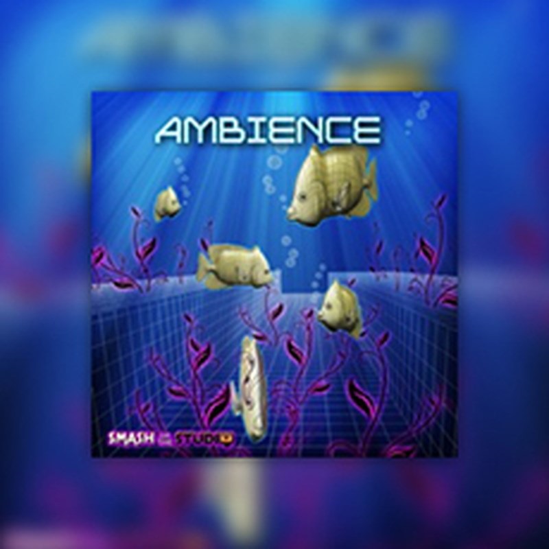 BIG FISH AUDIO AMBIENCE(オンライン納品)(2時間以内に納品)