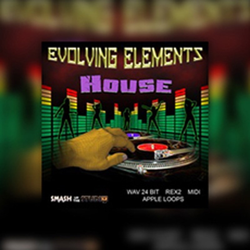 BIG FISH AUDIO EVOLVING ELEMENTS: HOUSE(オンライン納品)(2時間以内に納品)