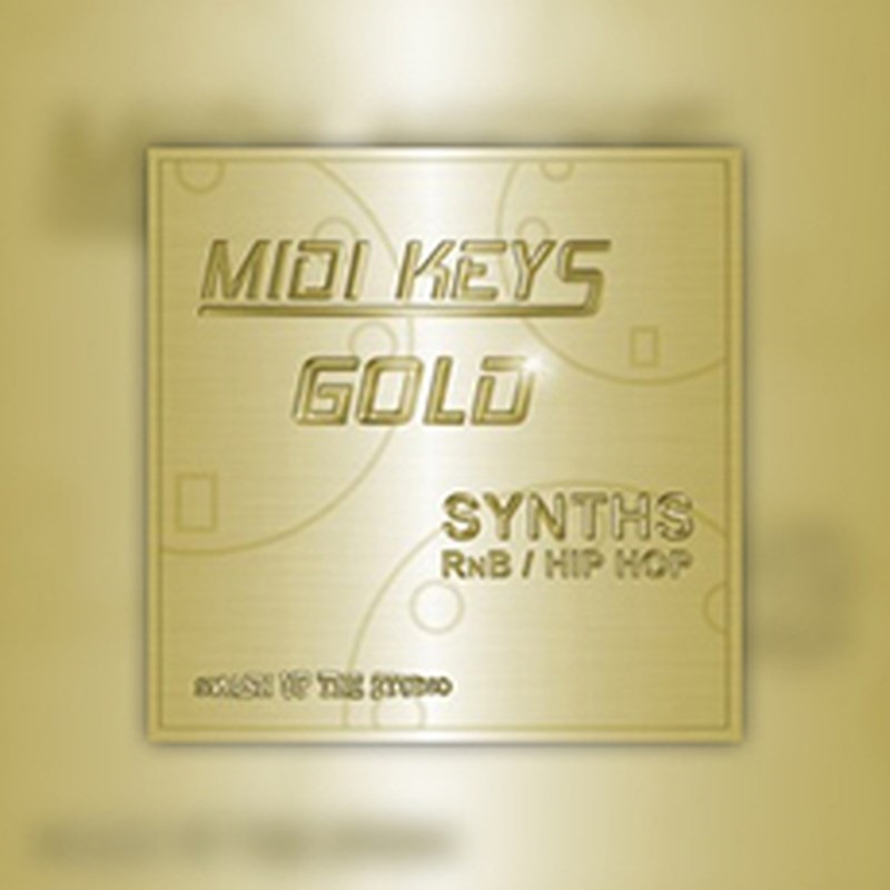 BIG FISH AUDIO MIDI KEYS GOLD: SYNTH RNB/HIPHOP(オンライン納品)(2時間以内に納品)