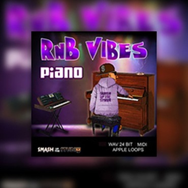 BIG FISH AUDIO RNB VIBES: PIANO(オンライン納品)(2時間以内に納品)