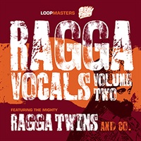 RAGGA VOCALS VOL.2(オンライン納品)(2時間以内に納品)