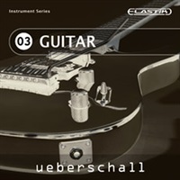 GUITAR / ELASTIK(オンライン納品)(2時間以内に納品)