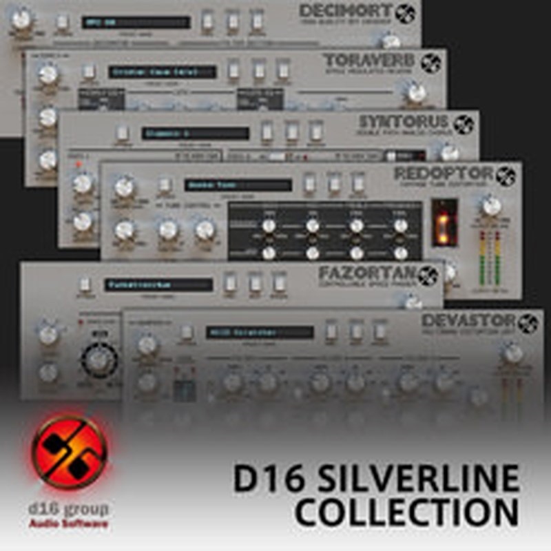 D16 Group D16 SILVERLINE COLLECTION(オンライン納品)(2時間以内に納品)