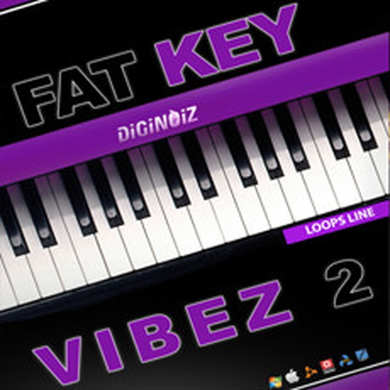 DIGINOIZ FAT KEY VIBEZ 2(オンライン納品)(2時間以内に納品)