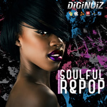 DIGINOIZ SOULFUL R&POP(オンライン納品)(2時間以内に納品)