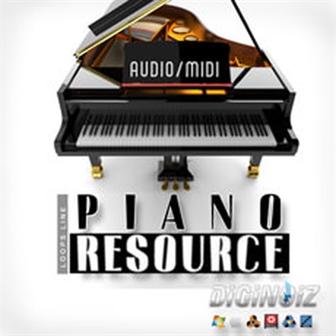 DIGINOIZ PIANO RESOURCE(オンライン納品)(2時間以内に納品)