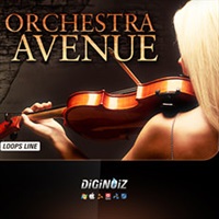 【幅広い対象製品が50% OFF！スプリングセール！】ORCHESTRA AVENUE(オンライン納品)(2時間以内に納品)