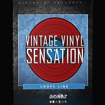 DIGINOIZ VINTAGE VINYL SENSATION(オンライン納品)(2時間以内に納品)