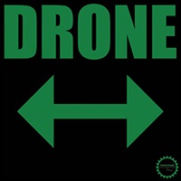 DRONE(オンライン納品)(2時間以内に納品)