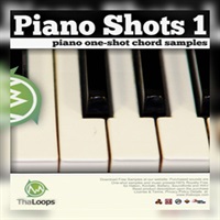 【ビッグフィッシュオーディオサンプルパックが25%OFF！】PIANO SHOTS 1(オンライン納品)(2時間以内に納品)
