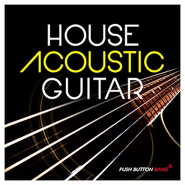 HOUSE ACOUSTIC GUITAR(オンライン納品)(2時間以内に納品)