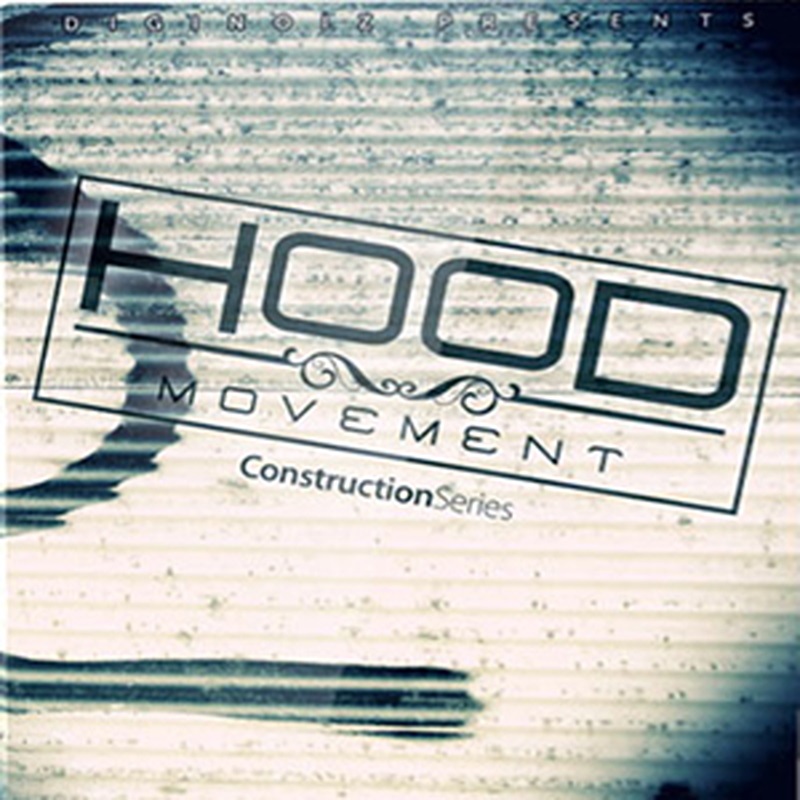 DIGINOIZ HOOD MOVEMENT(オンライン納品)(2時間以内に納品)