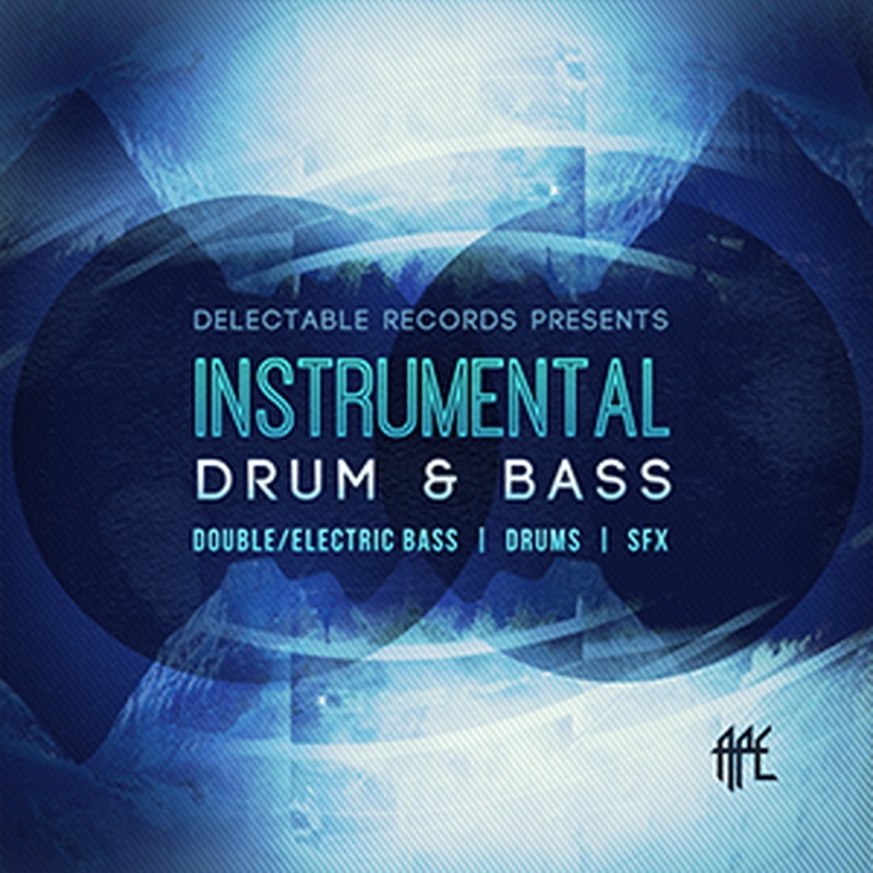DELECTABLE RECORDS INSTRUMENTAL DRUM & BASS(オンライン納品)(2時間以内に納品)