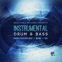 INSTRUMENTAL DRUM & BASS(オンライン納品)(2時間以内に納品)