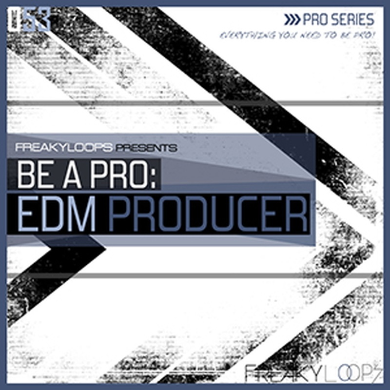 FREAKY LOOPS BE A PRO EDM PRODUCER(オンライン納品)(2時間以内に納品)