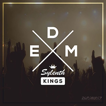 DIGINOIZ EDM SYLENTH KINGS(オンライン納品)(2時間以内に納品)