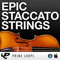EPIC STACCATO STRINGS