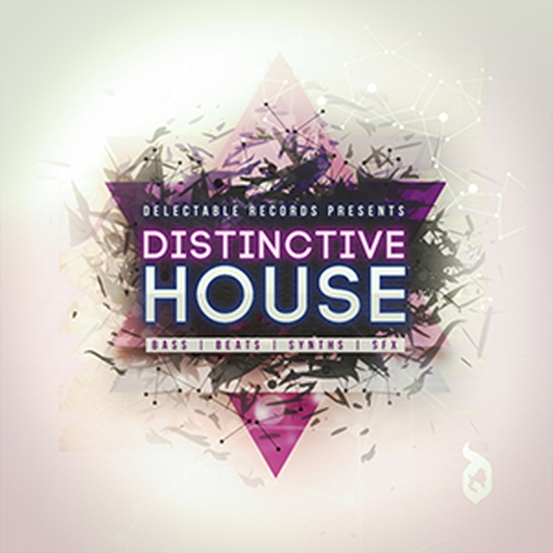 DELECTABLE RECORDS DISTINCTIVE HOUSE(オンライン納品)(2時間以内に納品)