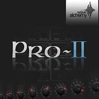 PRO 2(オンライン納品)(2時間以内に納品)