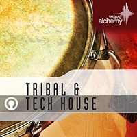 TRIBAL AND TECH HOUSE(オンライン納品)(2時間以内に納品)