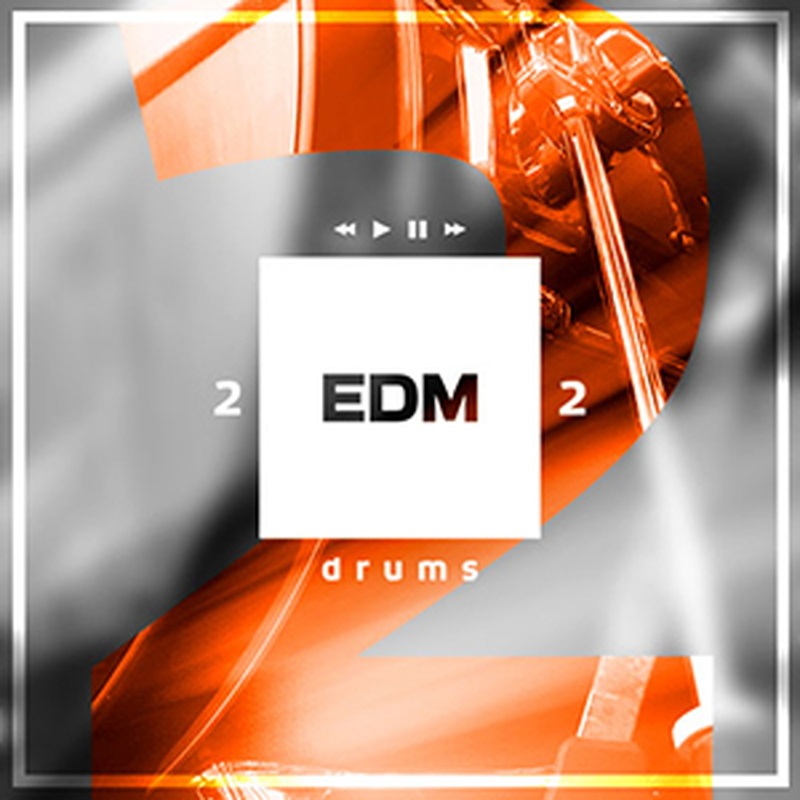 DIGINOIZ EDM DRUMS 2(オンライン納品)(2時間以内に納品)