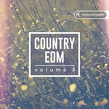 PRODUCER LOOPS COUNTRY EDM VOL 3(オンライン納品)(2時間以内に納品)