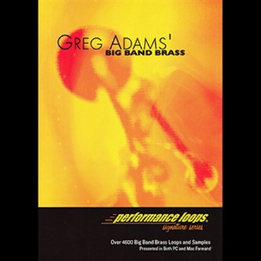 BIG FISH AUDIO GREG ADAMS BIG BAND BRASS(オンライン納品)(2時間以内に納品)