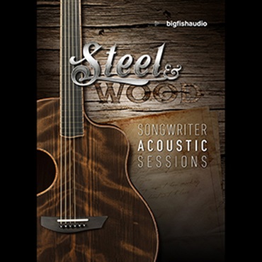 BIG FISH AUDIO STEEL & WOOD(オンライン納品)(2時間以内に納品)