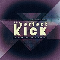 THE PERFECT KICK(オンライン納品)(2時間以内に納品)