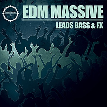 EDM MASSIVE(オンライン納品)(2時間以内に納品)