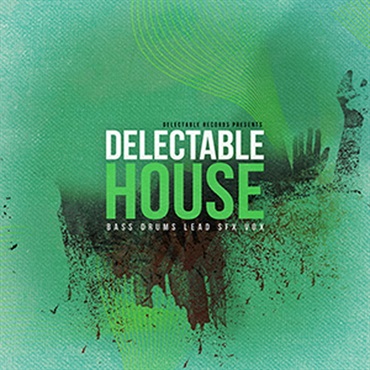 DELECTABLE RECORDS DELECTABLE HOUSE(オンライン納品)(2時間以内に納品)