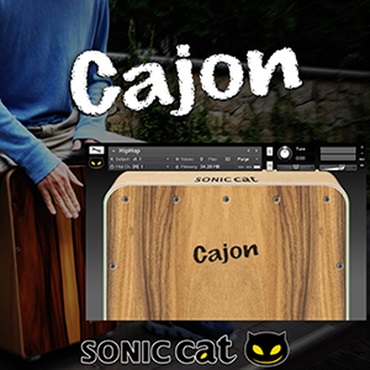 SONIC CAT CAJON(オンライン納品)(2時間以内に納品)