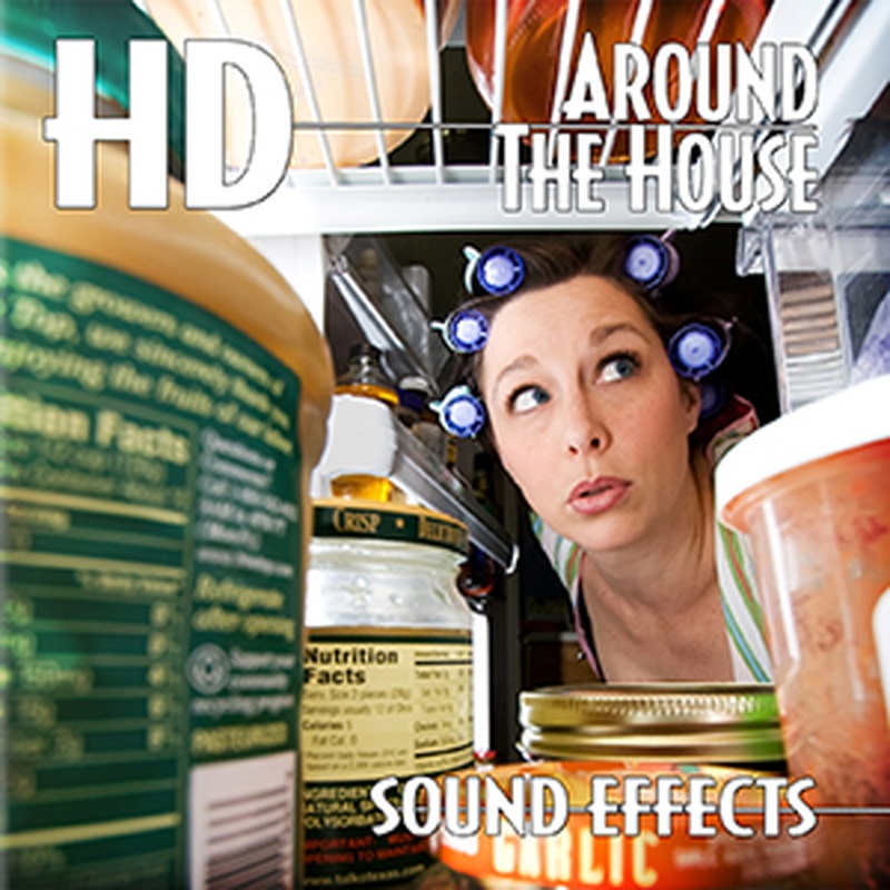 SOUND IDEAS HD AROUND THE HOUSE(オンライン納品)(2時間以内に納品)
