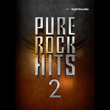BIG FISH AUDIO 【ビッグフィッシュオーディオクリスマスセール！】PURE ROCK HITS 2(オンライン納品)(2時間以内に納品)