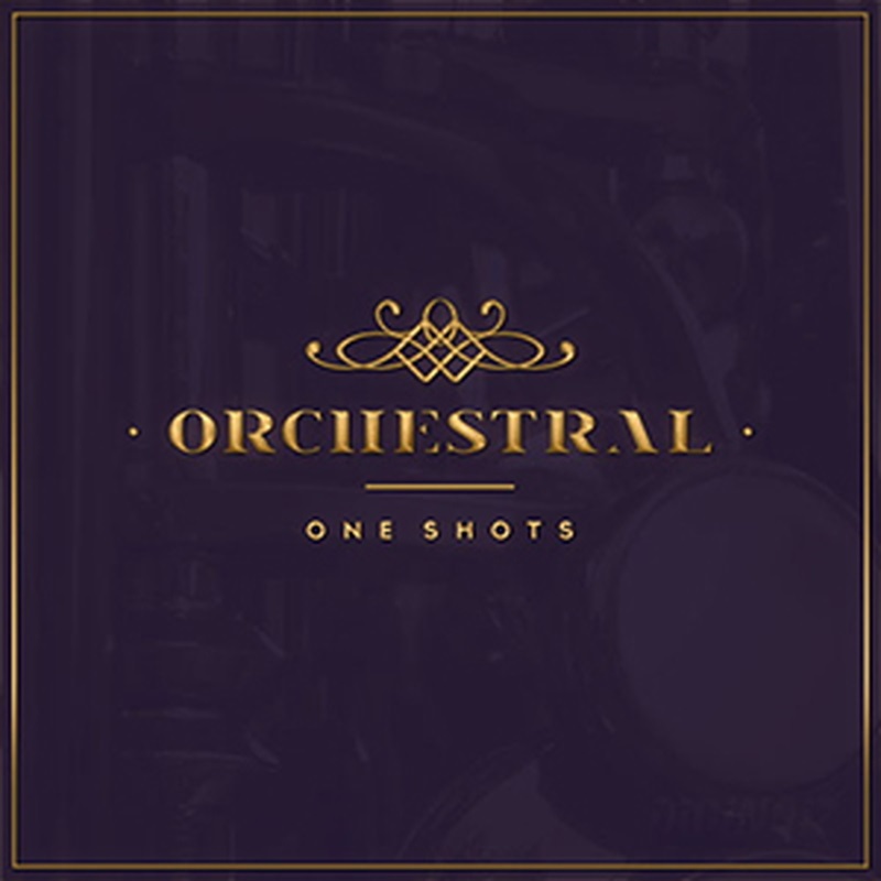 DIGINOIZ ORCHESTRAL ONE SHOTS(オンライン納品)(2時間以内に納品)