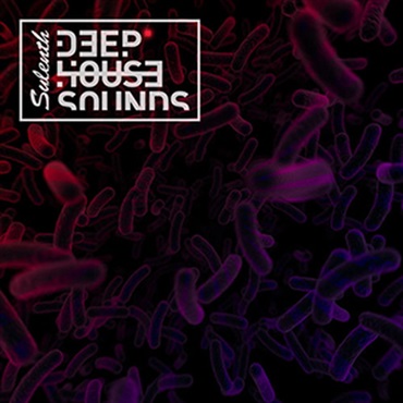 SYLENTH DEEP HOUSE SOUNDS(オンライン納品)(2時間以内に納品)