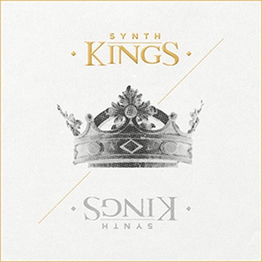 DIGINOIZ SYNTH KINGS(オンライン納品)(2時間以内に納品)