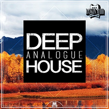 RANKIN AUDIO DEEP ANALOGUE HOUSE(オンライン納品)(2時間以内に納品)