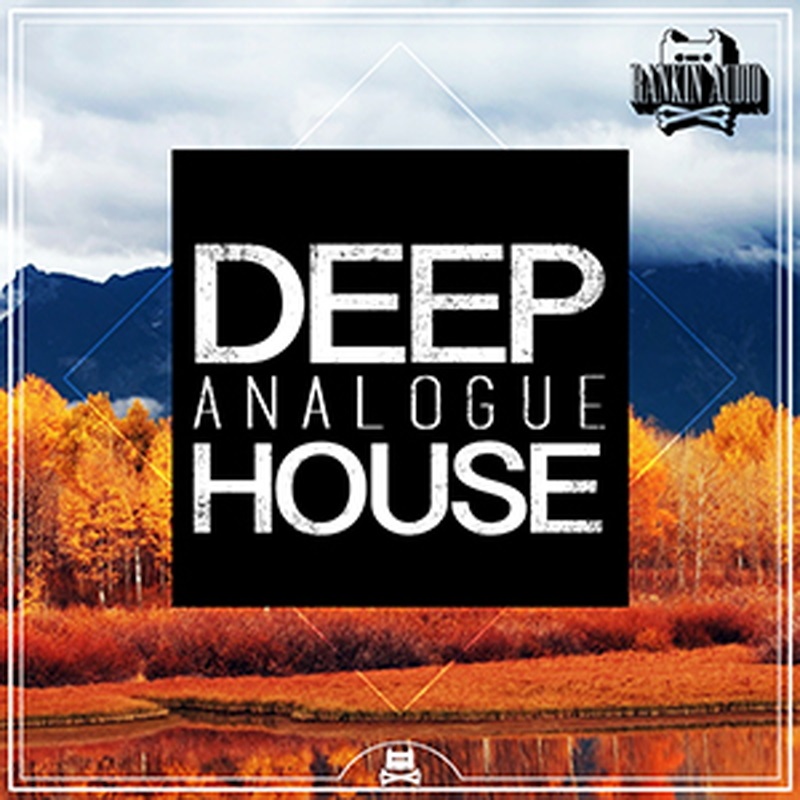 RANKIN AUDIO DEEP ANALOGUE HOUSE(オンライン納品)(2時間以内に納品)