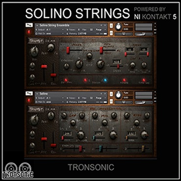 SOLINO STRING PROTO ENSEMBLE MK1(オンライン納品)(2時間以内に納品)