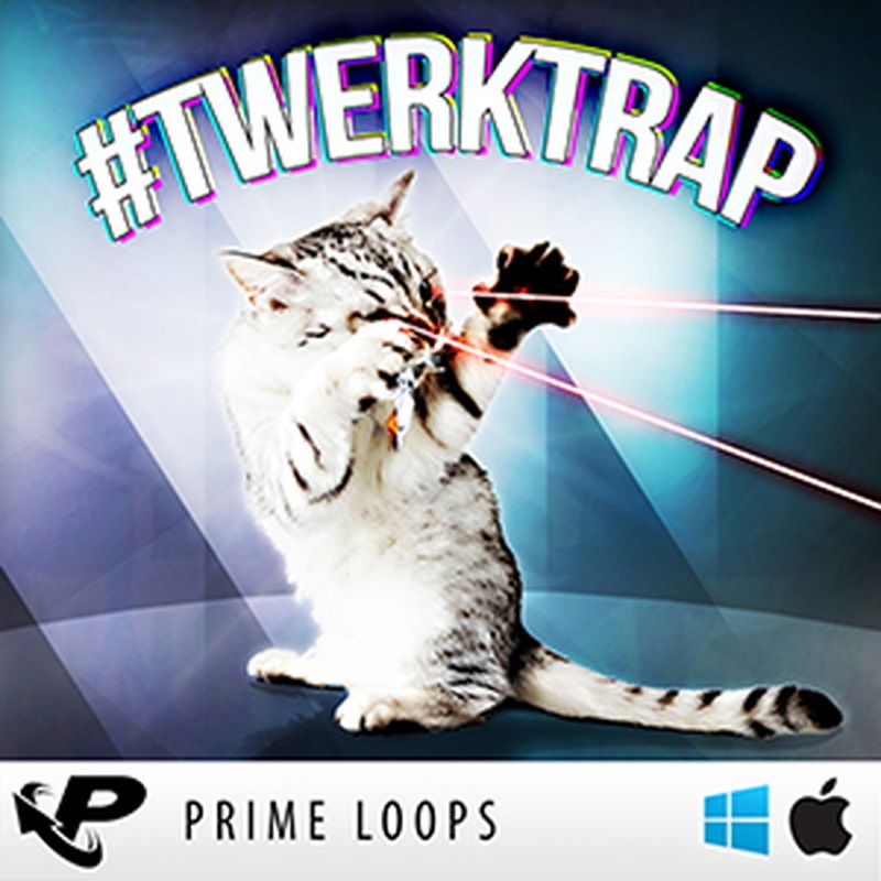 PRIME LOOPS TWERKTRAP(オンライン納品)(2時間以内に納品)