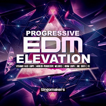 【ループマスターズホリデーセール！】PROGRESSIVE EDM ELEVATION(オンライン納品)(2時間以内に納品)